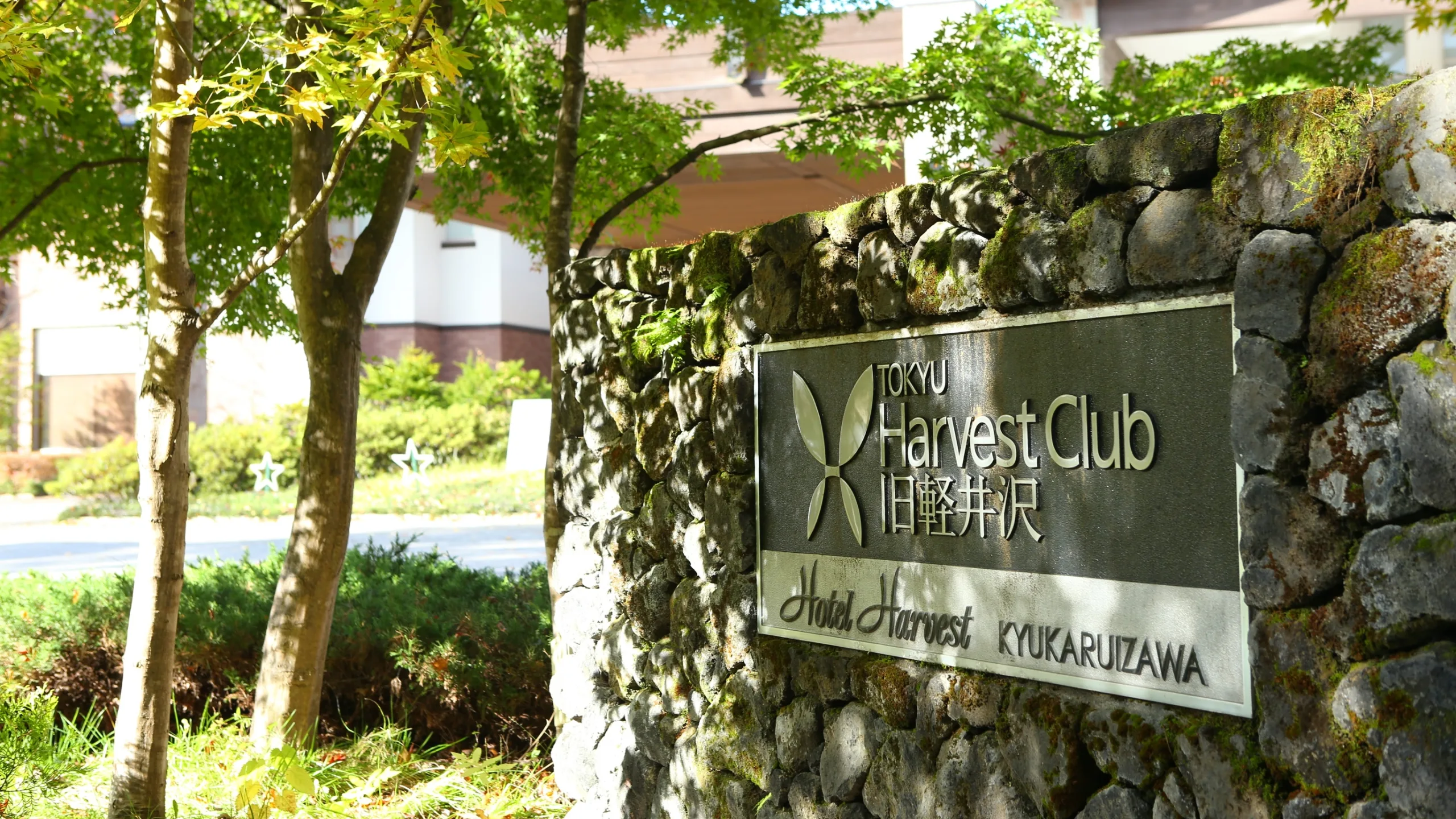 ＜ツアー＞【催行決定】6月23日（月）発　ボディ研究家 照内誠子さんと過ごす2泊3日軽井沢リトリート＜現地集合＆解散＞＠ホテル・ハーヴェスト旧軽井沢