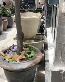 猫はいつも気持ちいい場所を知っている。
メキシコシティの陶器屋さんにて。
とにかく動物と子どもに優しい国メキシコ🇲🇽
#cdmx 
#trinitate 
#loveandtravelpink
#海外旅行
#メキシコシティ