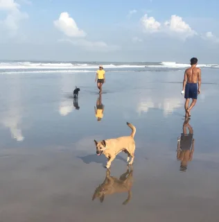 自然や動物達が活き活き堂々としているところがいい。
一周回ってやっぱりバリ島がまた好きになっているかも。
#bali 
#indonesia 
#loveandtravelpink 
#バリ島