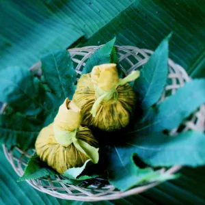 スリランカツアー&航空券手配(小猿様)